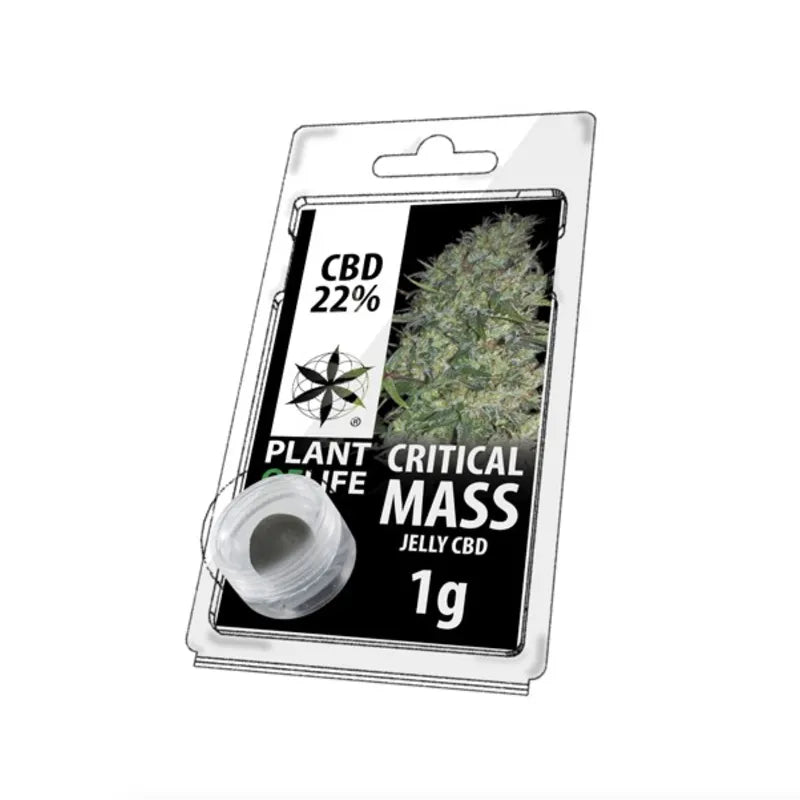 CBD Jelly